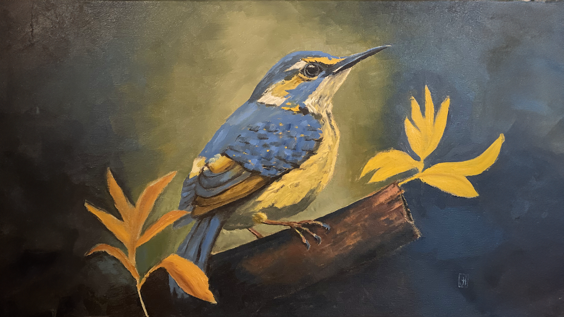 Nuthatch
