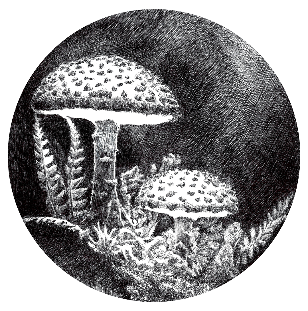 Shan-Trip-Ink22-ForWeb