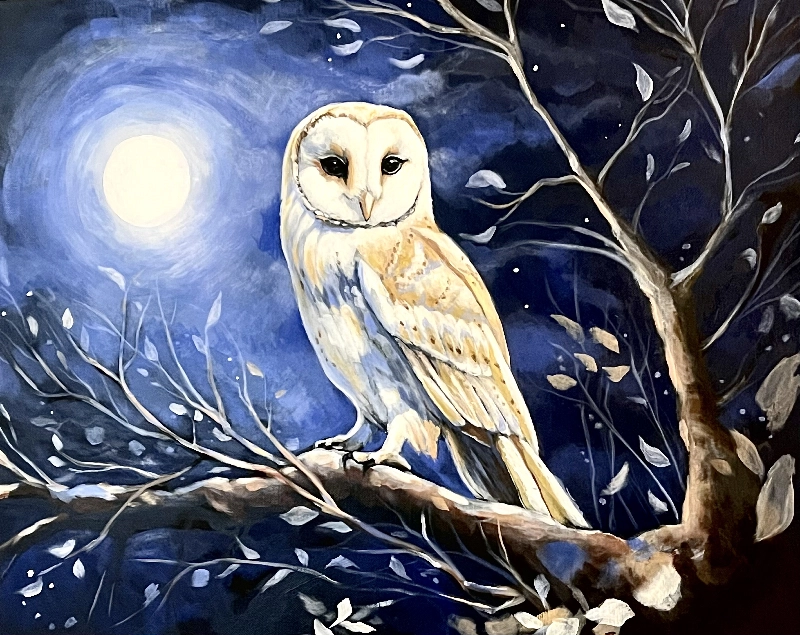 Barn Owl and Snow Moon